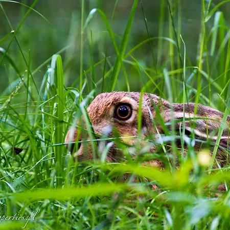 Κατάλυμα σε φάρμα Mila Dolina