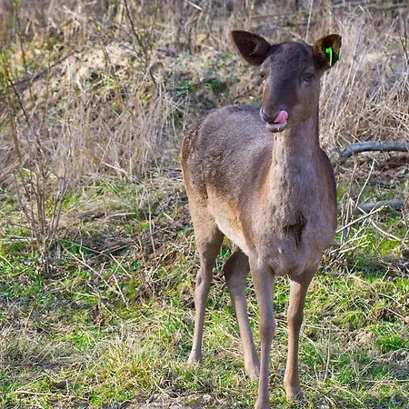 Κατάλυμα σε φάρμα Mila Dolina *