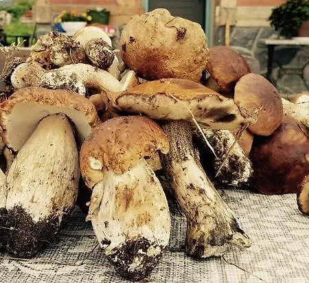 Mila Dolina * Milakowo