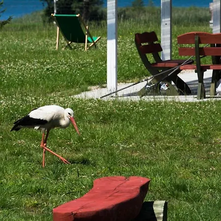 Mila Dolina Alloggio per agriturismo Milakowo