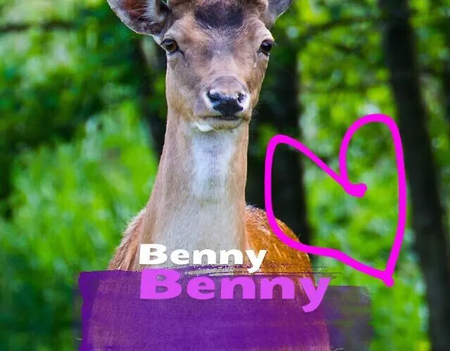 Mila Dolina مزرعة للإقامة *