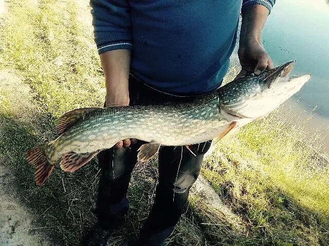 Mila Dolina مزرعة للإقامة Milakowo