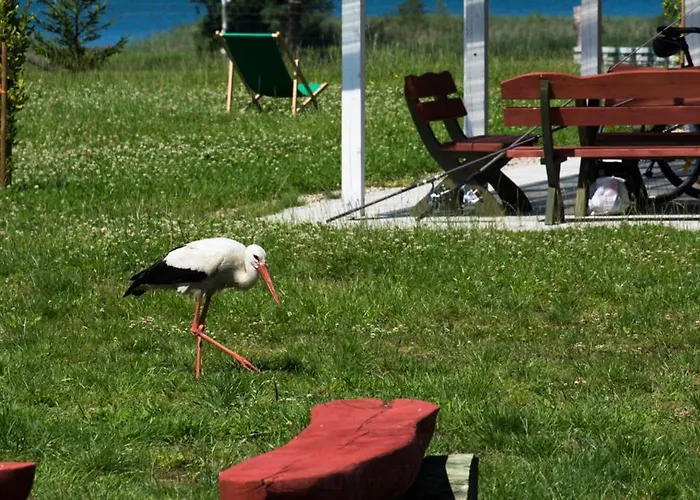 Mila Dolina مزرعة للإقامة Milakowo